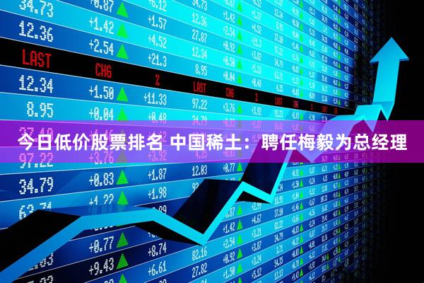 今日低价股票排名 中国稀土：聘任梅毅为总经理