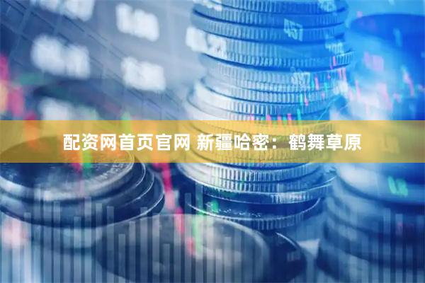 配资网首页官网 新疆哈密：鹤舞草原