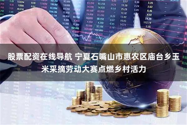 股票配资在线导航 宁夏石嘴山市惠农区庙台乡玉米采摘劳动大赛点燃乡村活力